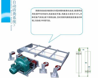 自動清糞機 推動養雞業邁向高效與自動化