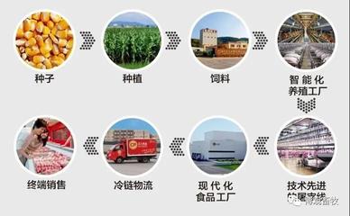 春雪與京東攜手，開啟農牧企業數字化新篇章