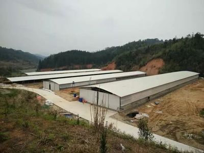 苗木鋪就環保創業路，家禽奏響綠色致富曲——余坊鄉上農苑家庭農場榮膺省級巾幗示范基地