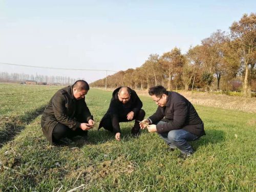 科技助農(nóng)忙 建湖田野春來早