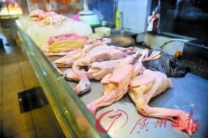 杭州市推進市區家禽冷鏈銷售供應，保障食品安全與產業升級