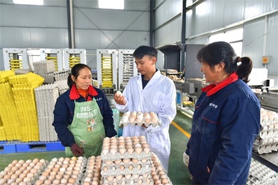 荊州區企業榮膺粵港澳大灣區“菜籃子”產品加工企業認定，優質農產品直通灣區餐桌